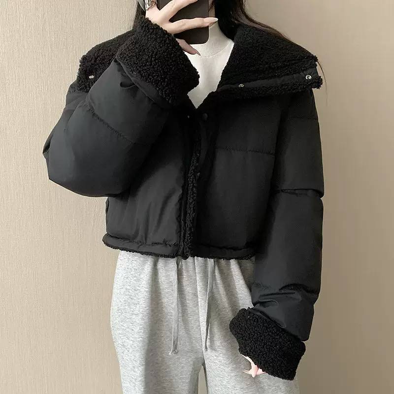Women's Cropped Teddy Collar Puffer Jacket