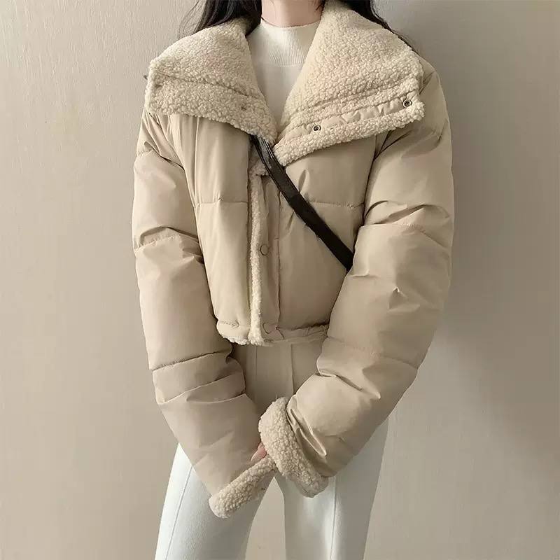 Women's Cropped Teddy Collar Puffer Jacket